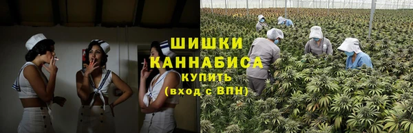 а пвп мука Абаза