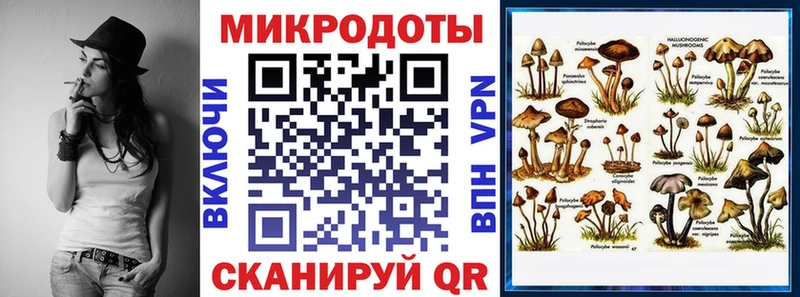 Псилоцибиновые грибы мухоморы  купить наркотики цена  Усть-Кут 
